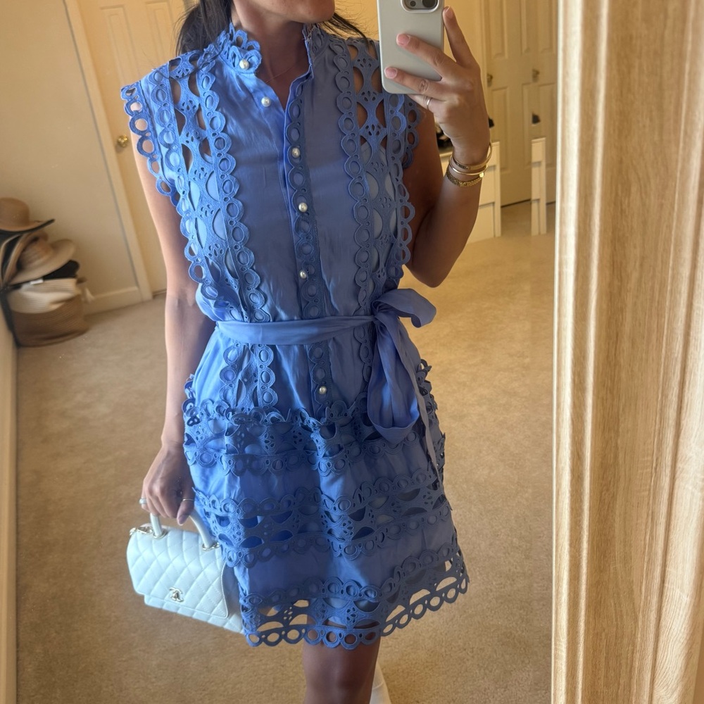 Miss Rosier Blue embroidered pearl dress - Picture 7 of 10